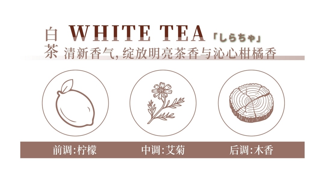 Original imported Planmisha Shea Butter Essence Body Wash 500ml Deep Moisturizing and Nourishing Dry skin Body Wash detail image 8