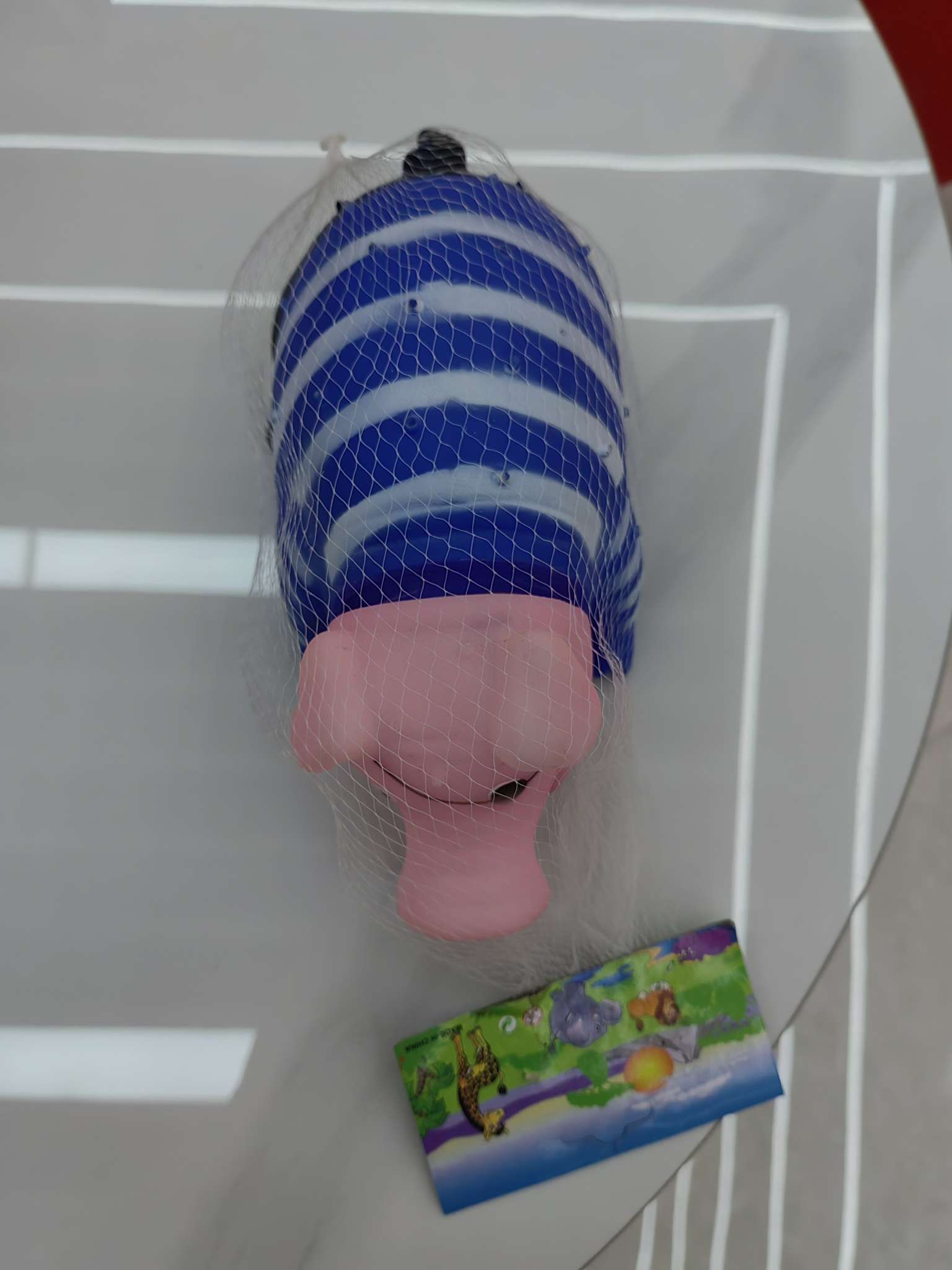 新奇特创意玩具趣味益智儿童礼物盒装猪