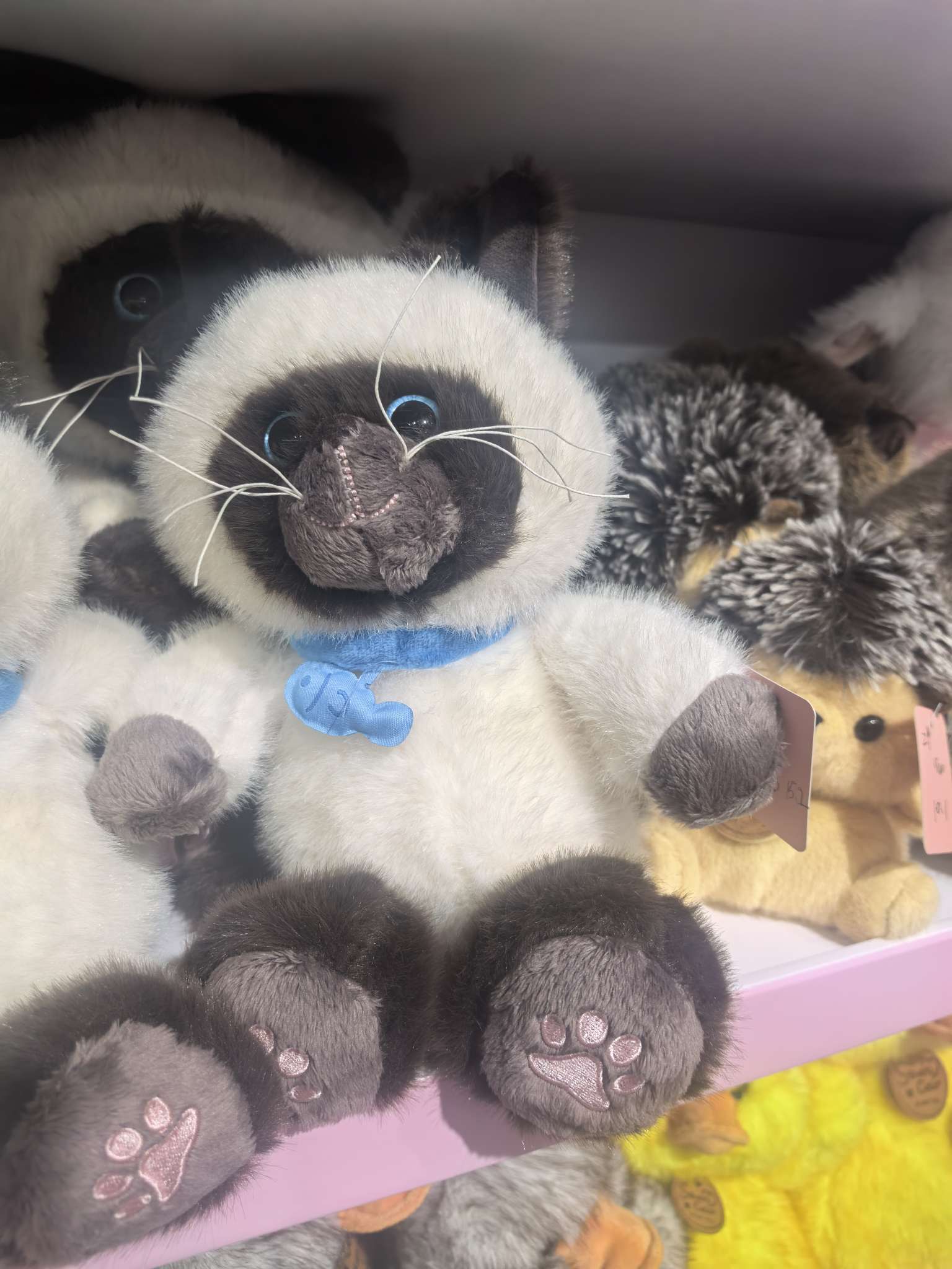 毛绒玩具黑猫抓髻娃娃
