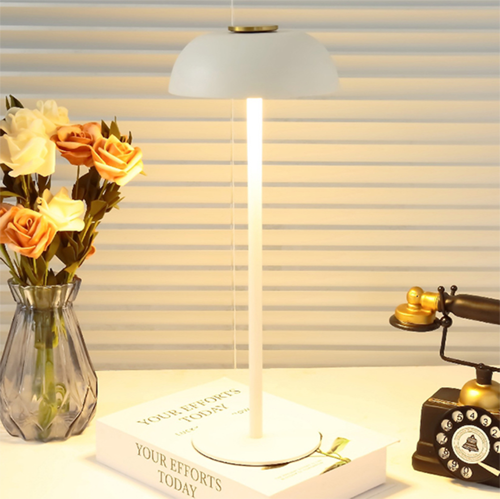 CICO Ironwork Atmosphere Small Desk Lamp with head switch Night Light type-c Rechargeable portable desk lamp full figure