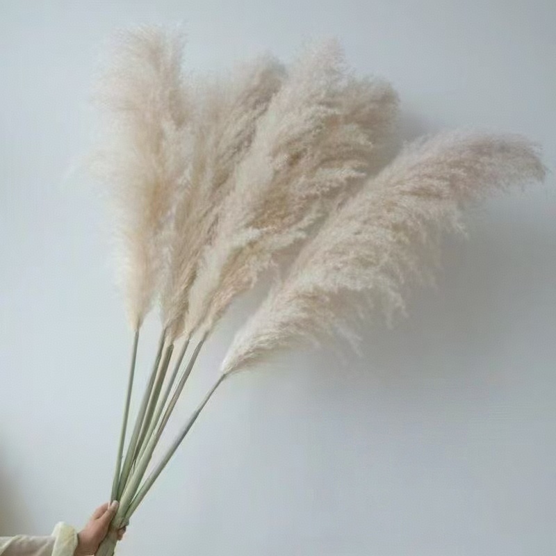 Dried flower materials, preserved flowers, gypsum cups, artificial flowers, dried flower craft accessories