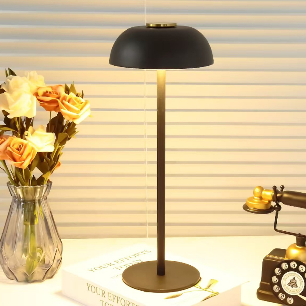 CICO Ironwork Atmosphere Small Desk Lamp with head switch Night Light type-c Rechargeable portable desk lamp details Picture