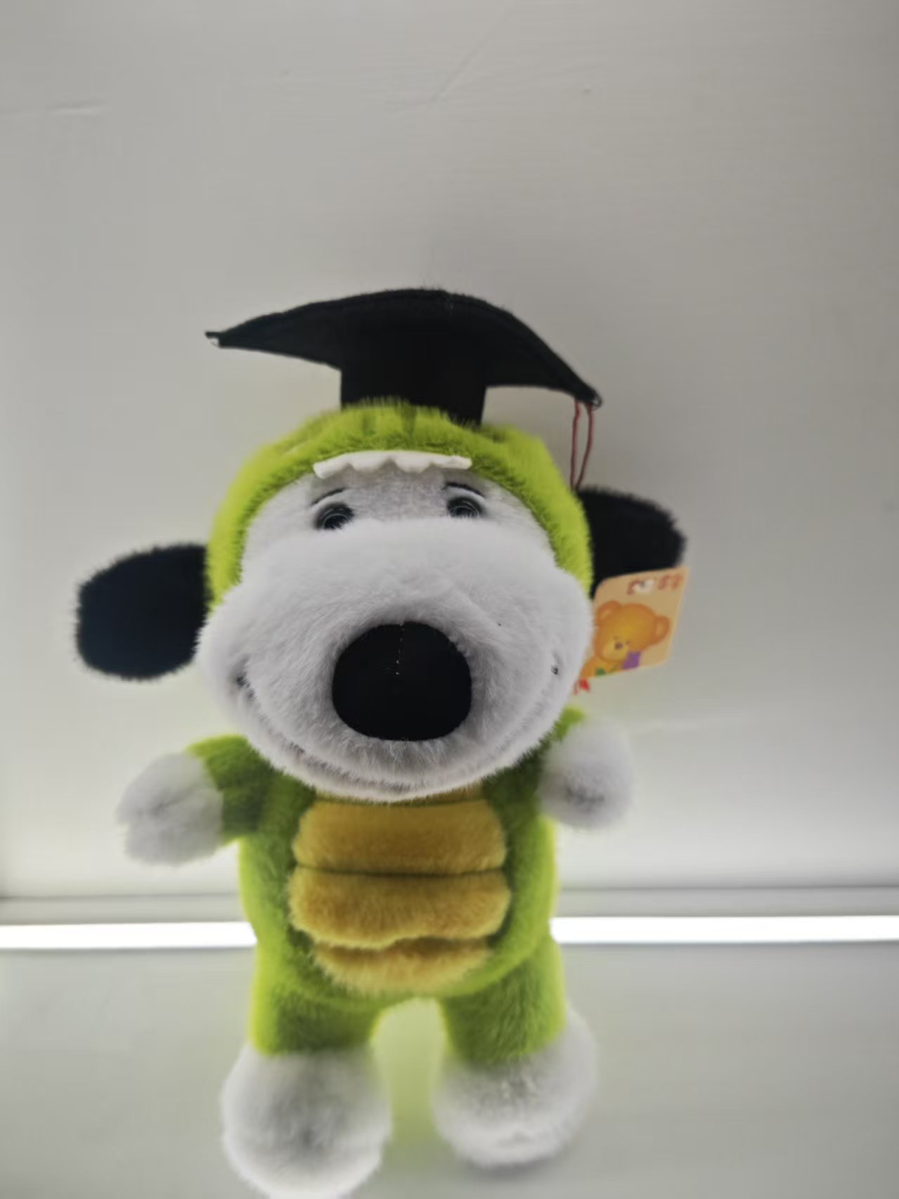 Graduación oso peluche muñeca boneco doctor peluche oso bachillerato traje clase regalo conmemorativo accesorios para fotos Item Picture