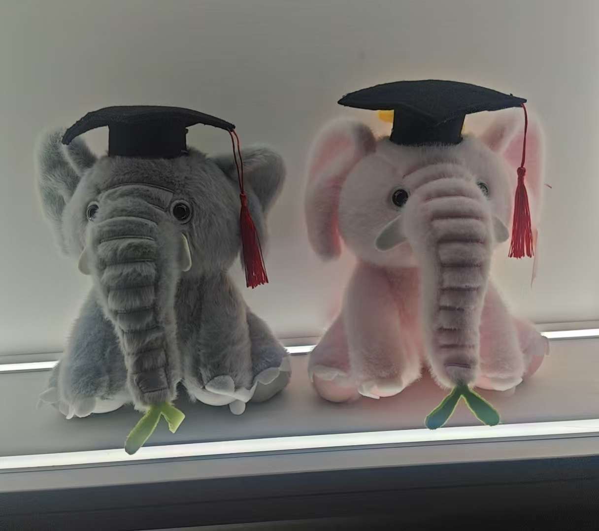 Graduación oso peluche muñeca boneco doctor peluche oso bachillerato traje clase regalo conmemorativo accesorios para fotos Specification image