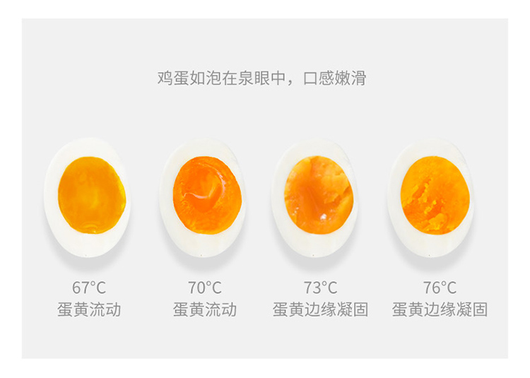 艾得锐威（AIDRVI）煮蛋器 蒸蛋器 煮鸡蛋神器 智能定时防干烧自动断电 迷你小煮蛋机 升级款ADR-1102B 珍珠详情10
