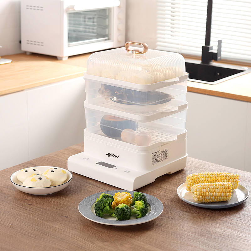 Aideruiwei multi-functional electric Steamer ADR-1101B