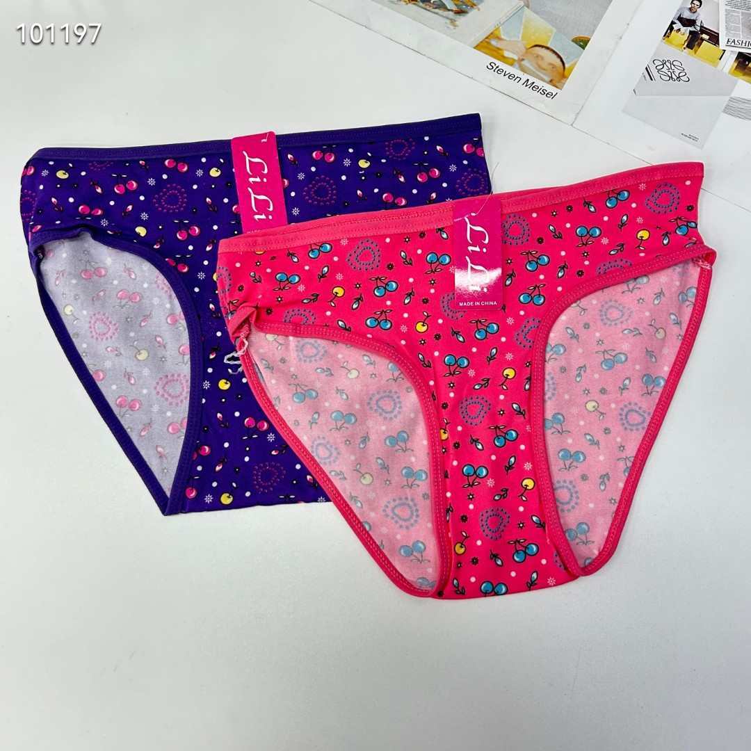 DD-8208# 31-head underwear, women's underwear, milk silk women's underwear, large size inside comfortable printed women's briefs, underwear, best-selling in Africa and South America, QNI Specification drawing