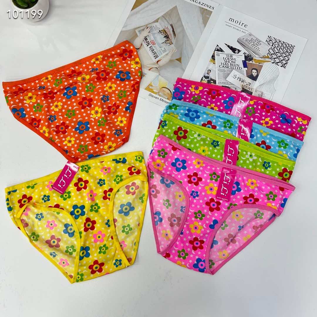 DD-356# Women's underwear for export, popular milk silk print triangle pants, large-sized women's underwear for Africa and South America, QNI Application Scenario