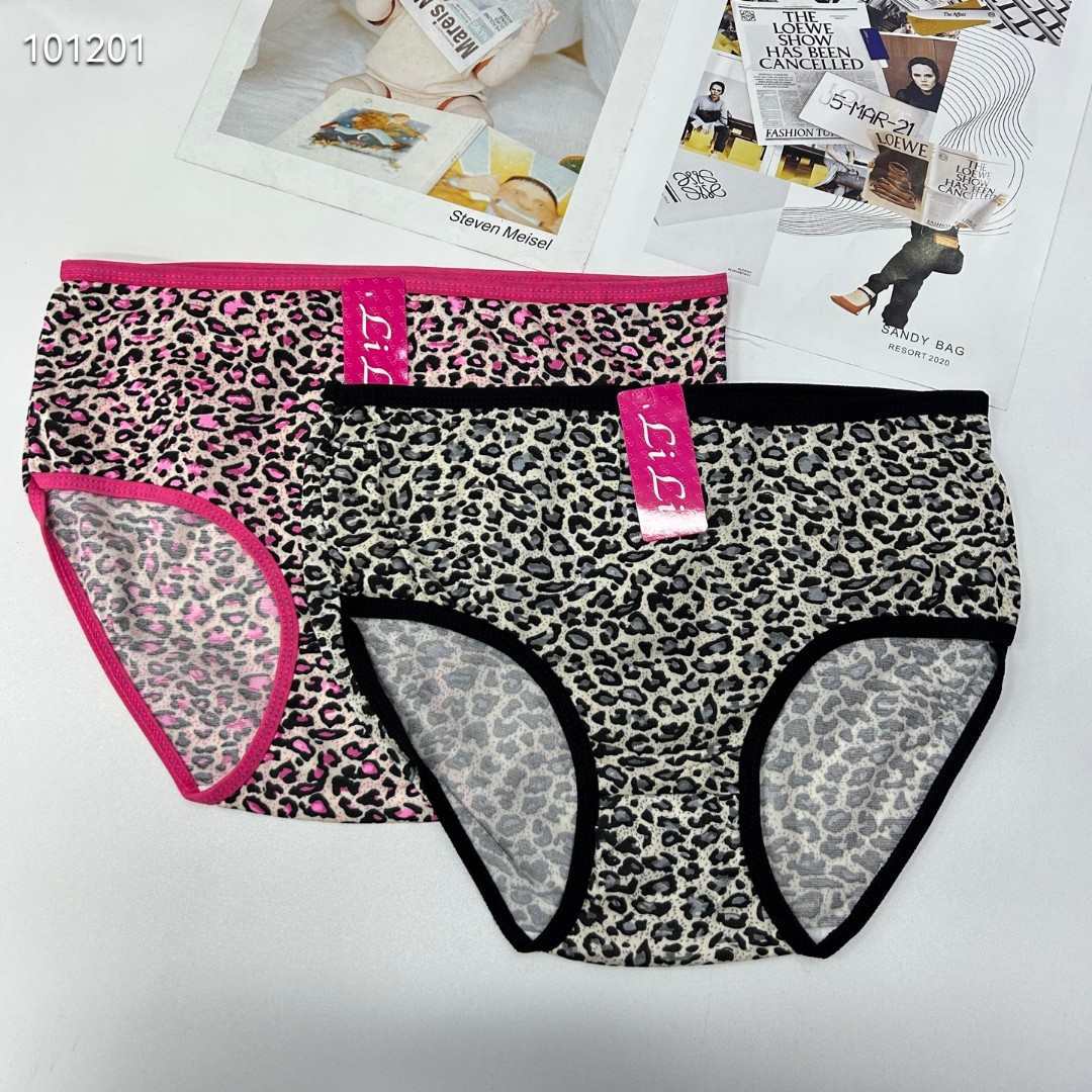 DD-562# 31-head Women's leopard print triangle Underwear, women's underwear, milk silk women's underwear, women's triangle underwear, underwear are selling well in Africa, South America, QNI Specification drawing