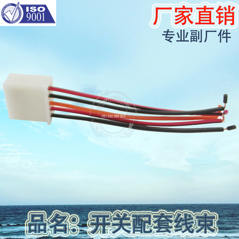 Factory direct sales of 5-socket wiring harness suitable for Peugeot 504 glass lifter switch double arrow switch details Picture