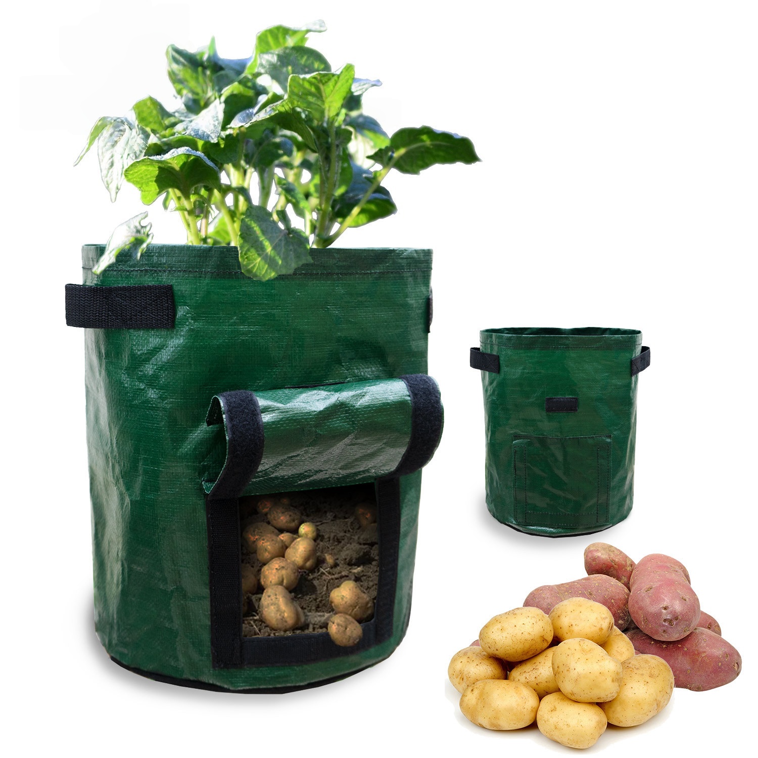 Thickened non-woven fabric potato planting bags, horticultural vegetable and flower seedling buckets, PE breathable planting bags Specification image