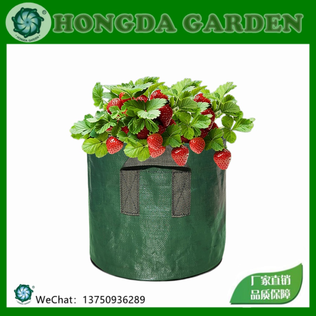 草莓专用种植袋 透气防草布PE种植袋 可重复使用蔬菜花卉育苗袋