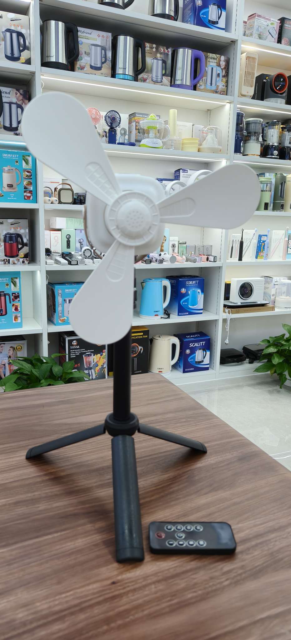 家用电器两季电风扇露营灯扇户外小风扇