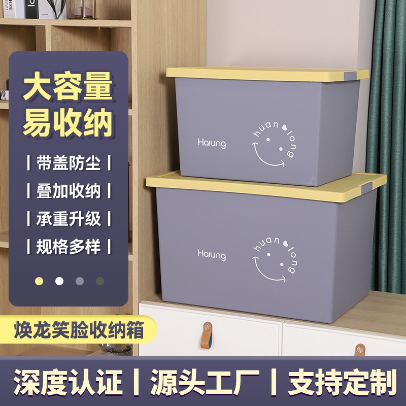 H231-HL011 Small thickened storage box, plastic organizing box, a household car moving wonder Item Picture
