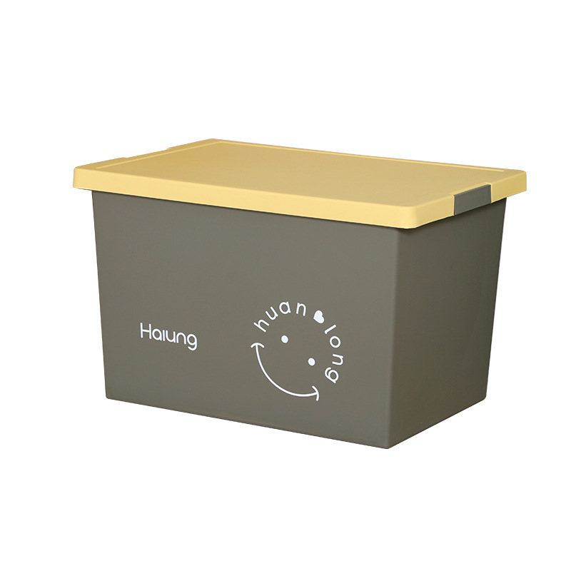 H231-HL011 Small thickened storage box, plastic organizing box, a household car moving wonder details Picture