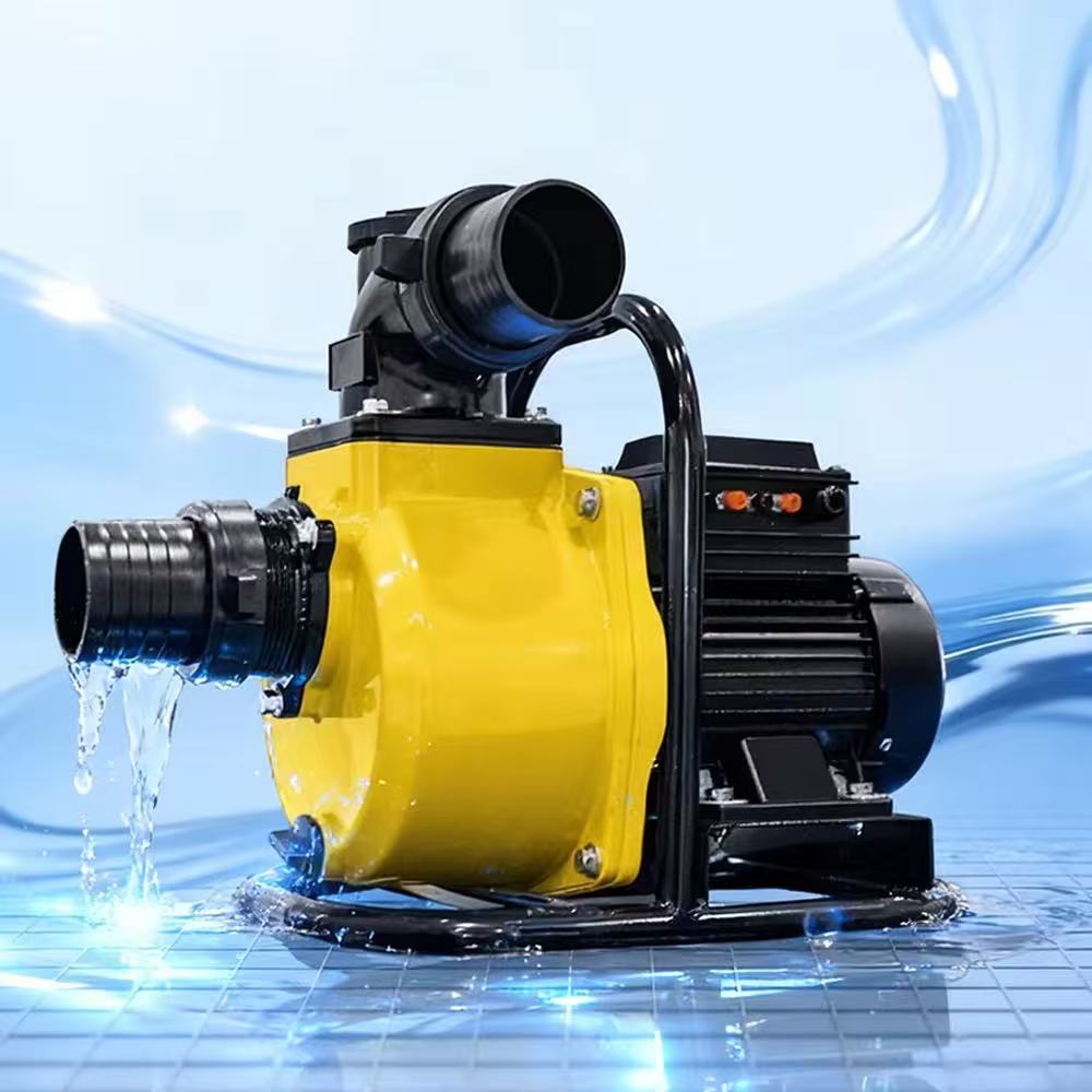 LUNLAN DC 750W brushless solar water pump, stainless steel body, electric water pump for farmland and orchard irrigation Item Picture