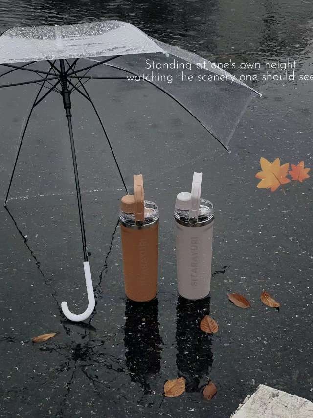 800ML portable insulated cup details Picture