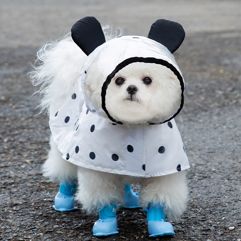 A fully printed polka dot bear raincoat, a cute two-legged puppy raincoat, a small dog pet, a teddy bear, and waterproof clothing Specification image