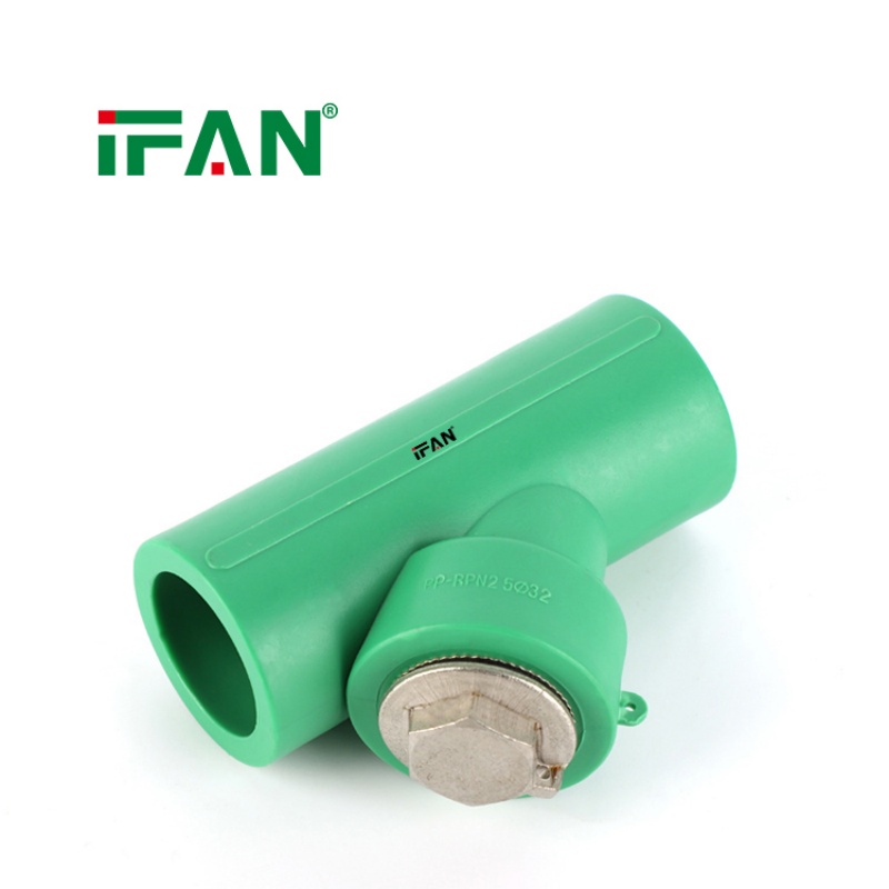 IFAN Factory Direct 1/2 Inch PPR Pipe Fittings Filter Valves Specification image