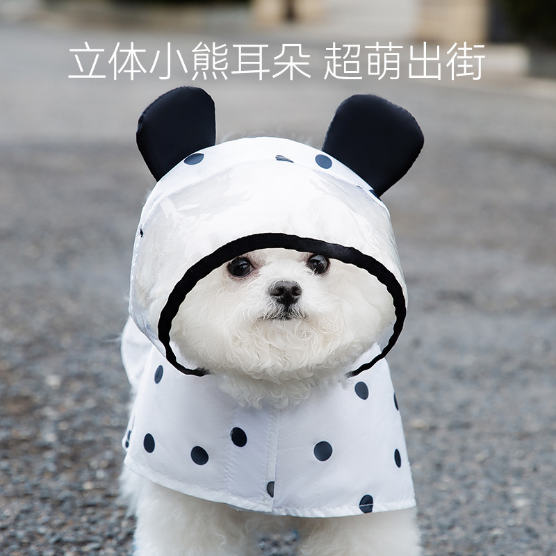 A fully printed polka dot bear raincoat, a cute two-legged puppy raincoat, a small dog pet, a teddy bear, and waterproof clothing details Picture