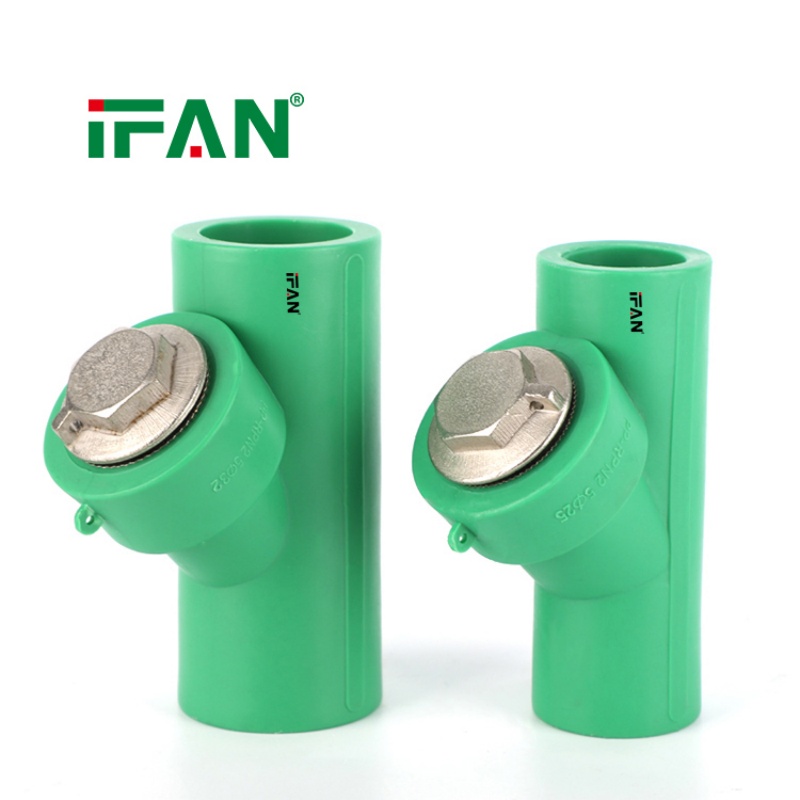 IFAN Factory Direct 1/2 Inch PPR Pipe Fittings Filter Valves