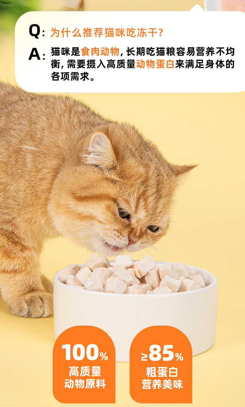 猫咪零食冻干鸡胸肉鸡肉粒3斤狗狗猫粮狗粮桶装腮发肥增厂家直销详情5