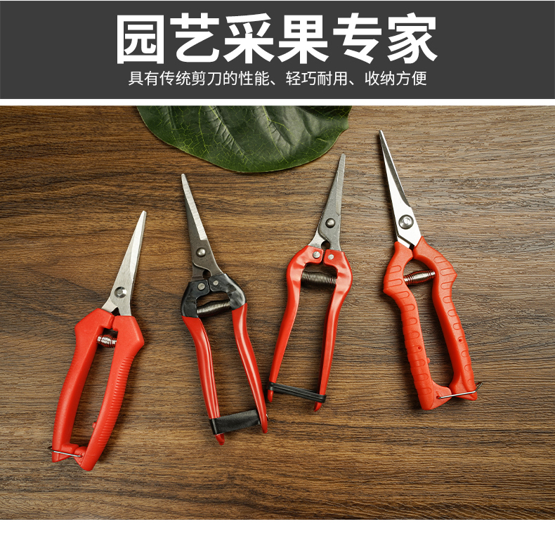 佰世园艺园林修枝剪果树摘果剪省力弹簧细枝剪葡萄蔬果剪园艺剪刀详情3
