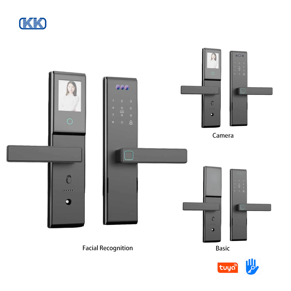 Facial recognition smart door lock, card-swiping smart door lock, remote APP connection and control K0221 details Picture