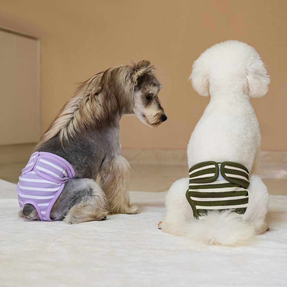 Dog physiological pants, anti-harassment female dog menstrual pants, non-disposable anti-pregnancy and anti-mating pet products, dog menstrual pants Specification image