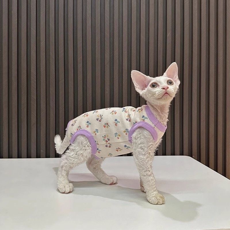 Pet summer floral four-legged vest for catching a cold, Sphinx, Devon cat, light short-sleeved Application Scenario