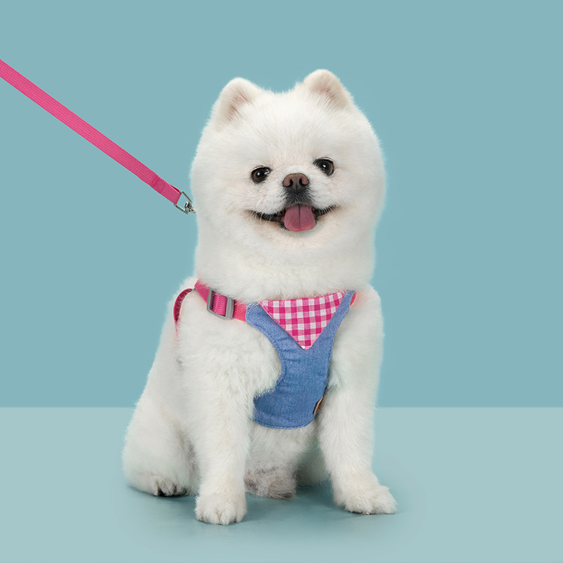 Pet small and medium-sized dog, denim, breathable, anti-escape for cats and dogs, outdoor leash, dog leash, chest and shoulder strap, suitable for all seasons details Picture