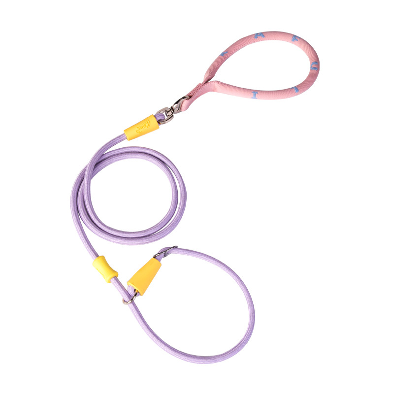 Fresh and color-blocking anti-explosion p leash for dog walking, small dog pet leash Item Picture