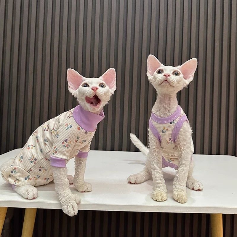Pet summer floral four-legged vest for catching a cold, Sphinx, Devon cat, light short-sleeved