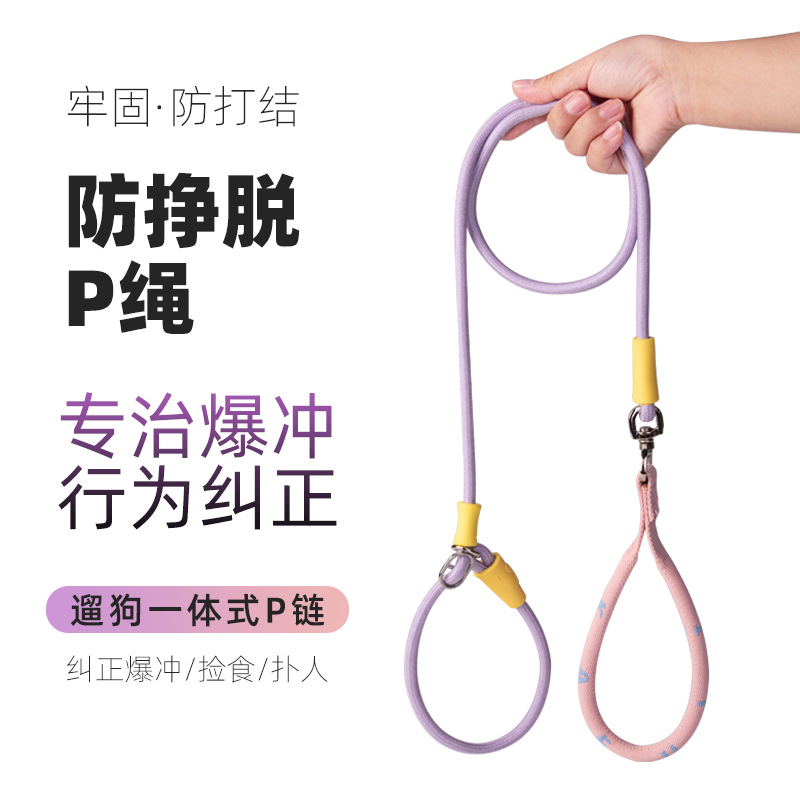 Fresh and color-blocking anti-explosion p leash for dog walking, small dog pet leash Specification image