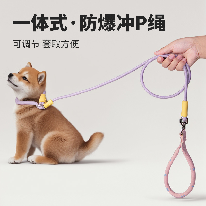 Fresh and color-blocking anti-explosion p leash for dog walking, small dog pet leash
