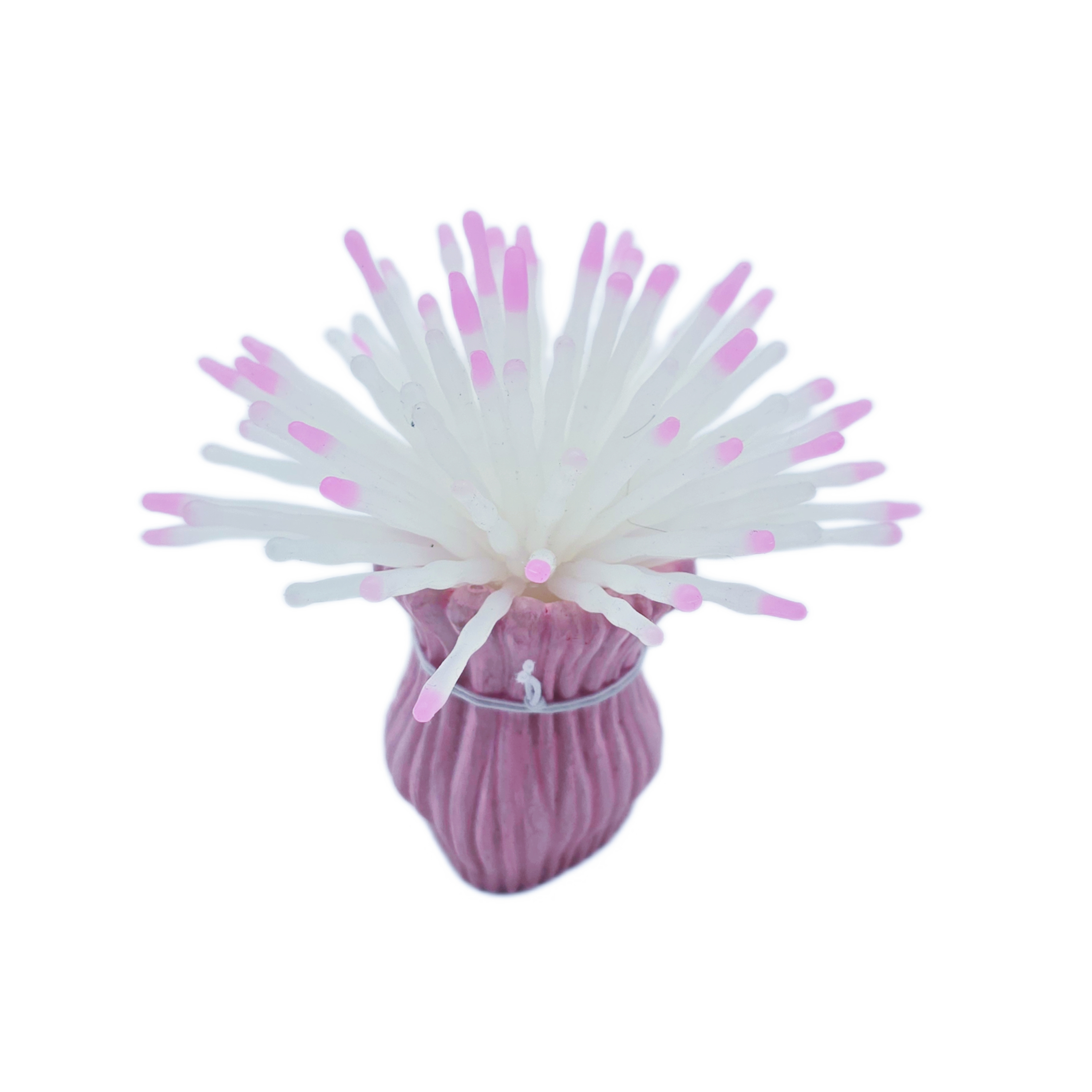 Coral-shaped shell ornaments, natural white butterfly shells, conches and fruit shells Application Scenario
