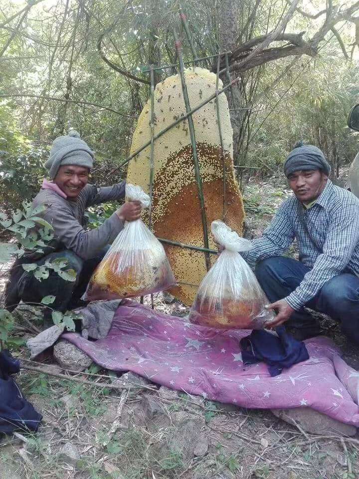 Pure and natural wild honey from Laos costs 260 yuan per kilogram detail image 3