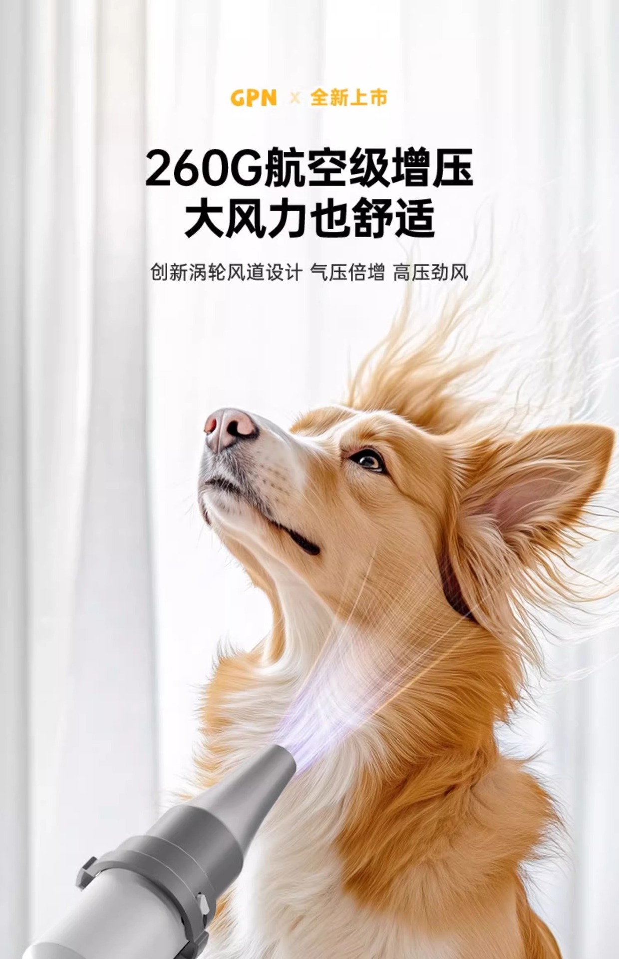 宠物吹水机家用大小型犬吹毛烘干一体机狗狗猫咪洗澡智能吹干神器详情4