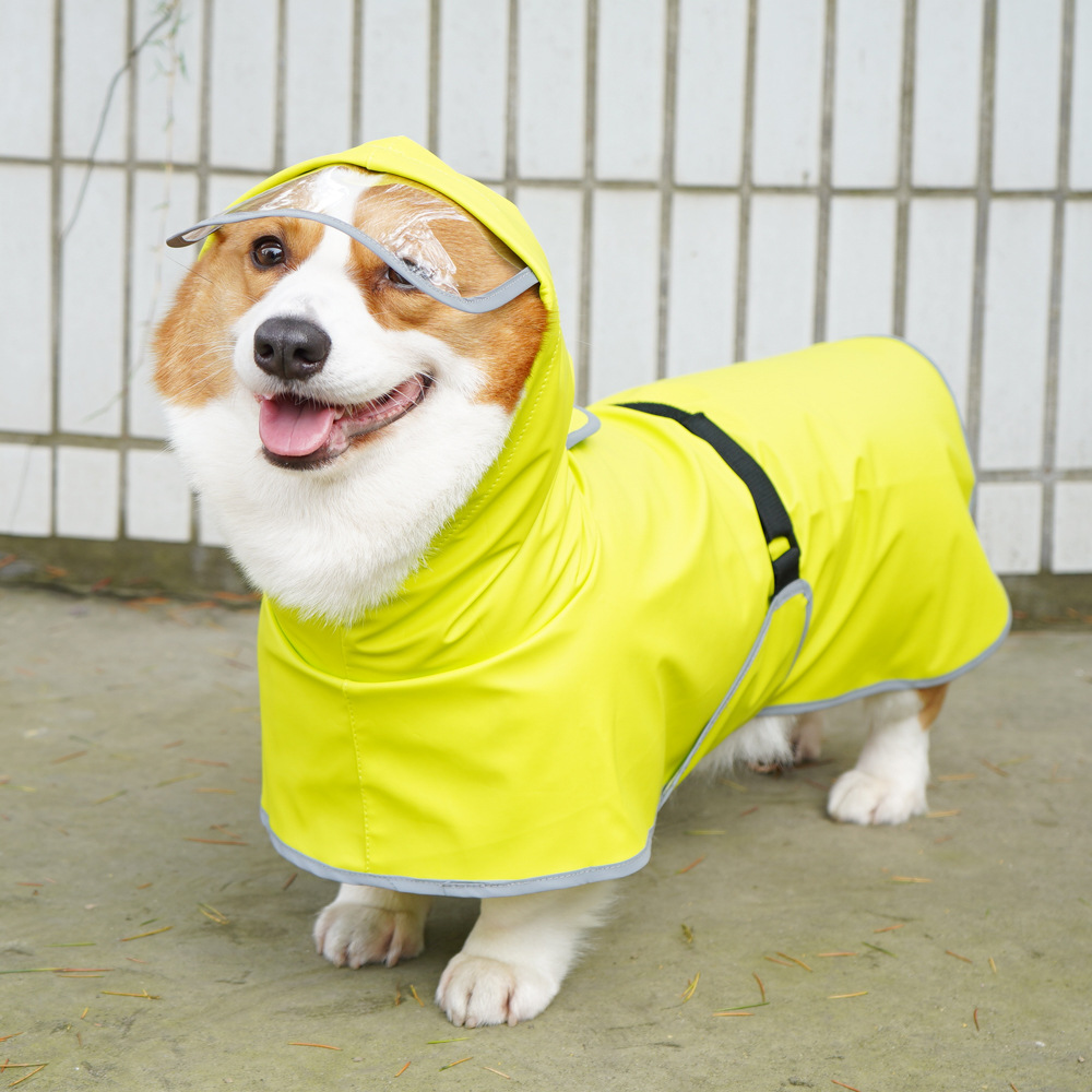 Amazon's towing pet dog raincoat, tummy wrap, teddy Corgi dog raincoat, cape, reflective clothing Application Scenario