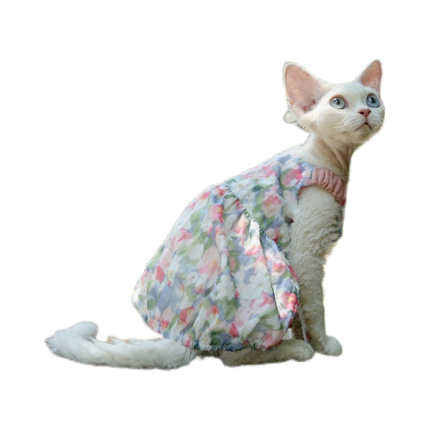 Floral pumpkin dress, fresh and cute princess cat dress, German dress, Sphinx cat Item Picture