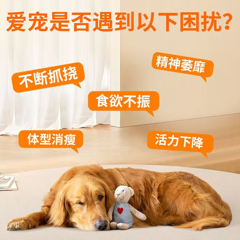 Pet Worry-Free 100-piece chicken-flavored pet internal drive, suitable for both cats and dogs, extracted from natural plants such as Torreya seeds and Chinese plums details Picture