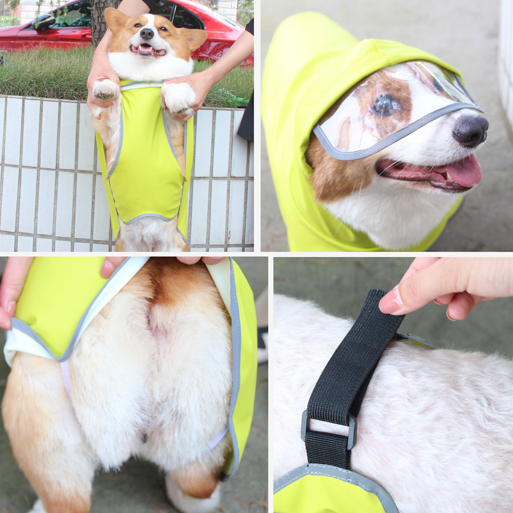 Amazon's towing pet dog raincoat, tummy wrap, teddy Corgi dog raincoat, cape, reflective clothing Specification image