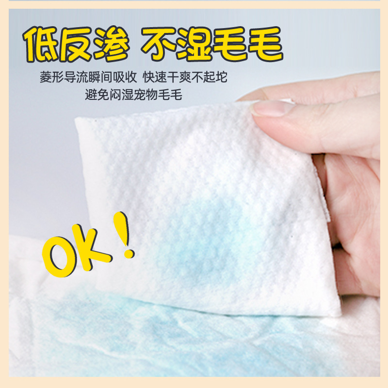狗狗纸尿裤宠物尿不湿泰迪尿片宠物小狗月经裤母狗生理裤狗狗用品