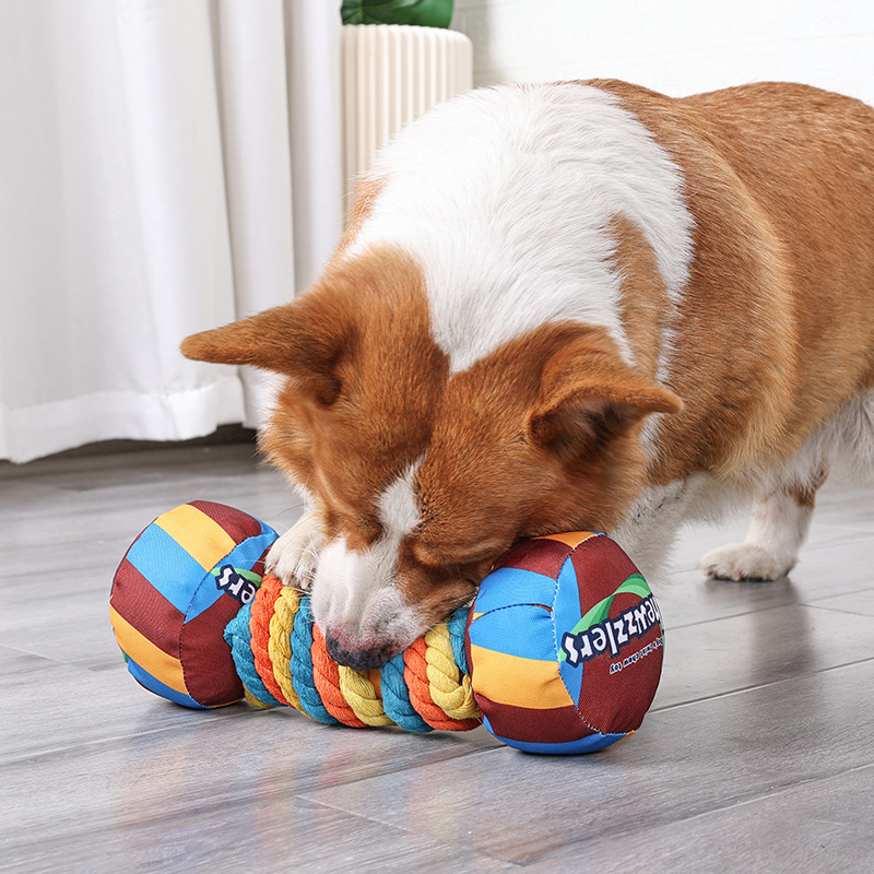 Pet dog toys, candies, dumbbells, chewing toys, vocal teeth cleaning and grinding toys, dog interactive toys, pet supplies Application Scenario