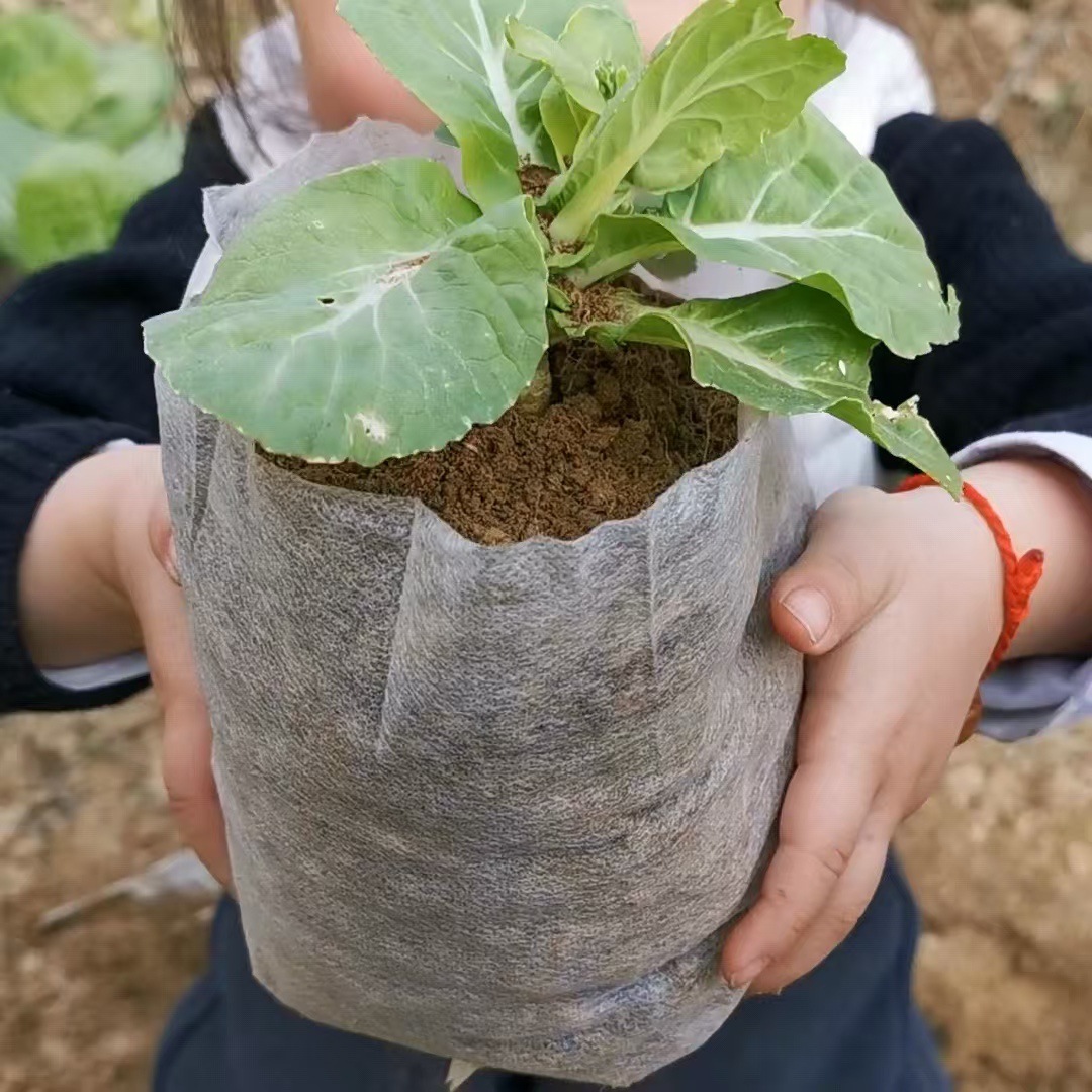 Thickened degradable non-woven fabric seedling bags for fruit trees, seedlings, vegetables and flowers, nutrient POTS without bag removal for transplanting, disposable horticultural planting and cultivation bags, wholesale from manufacturers Specification image
