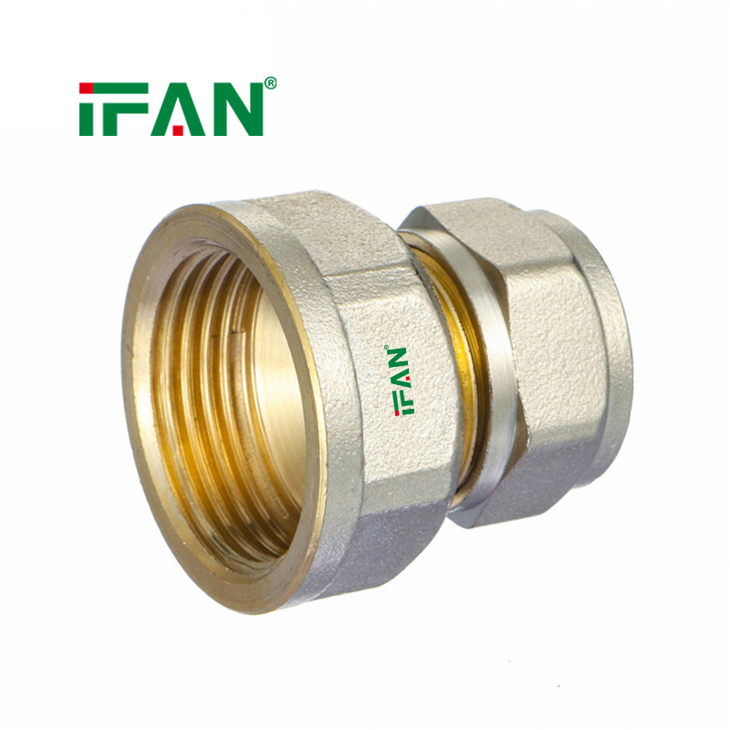 Factory Direct  IFAN PEX Compression End Cap Female Thread details Picture