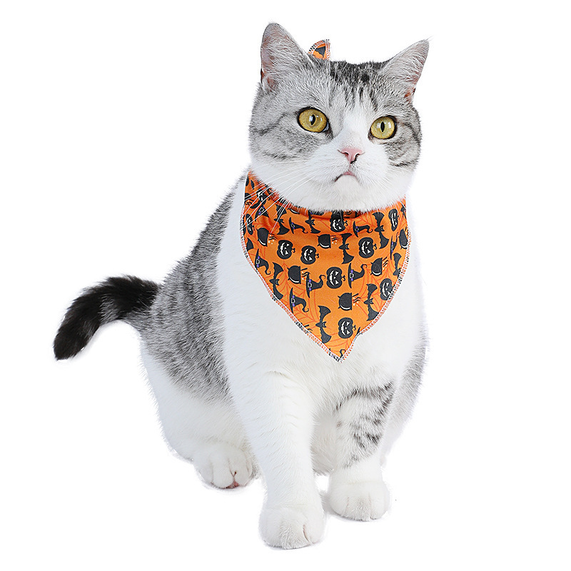 Halloween cat wipes, pet triangular wipes, dog bibs, dog wipes Specification image