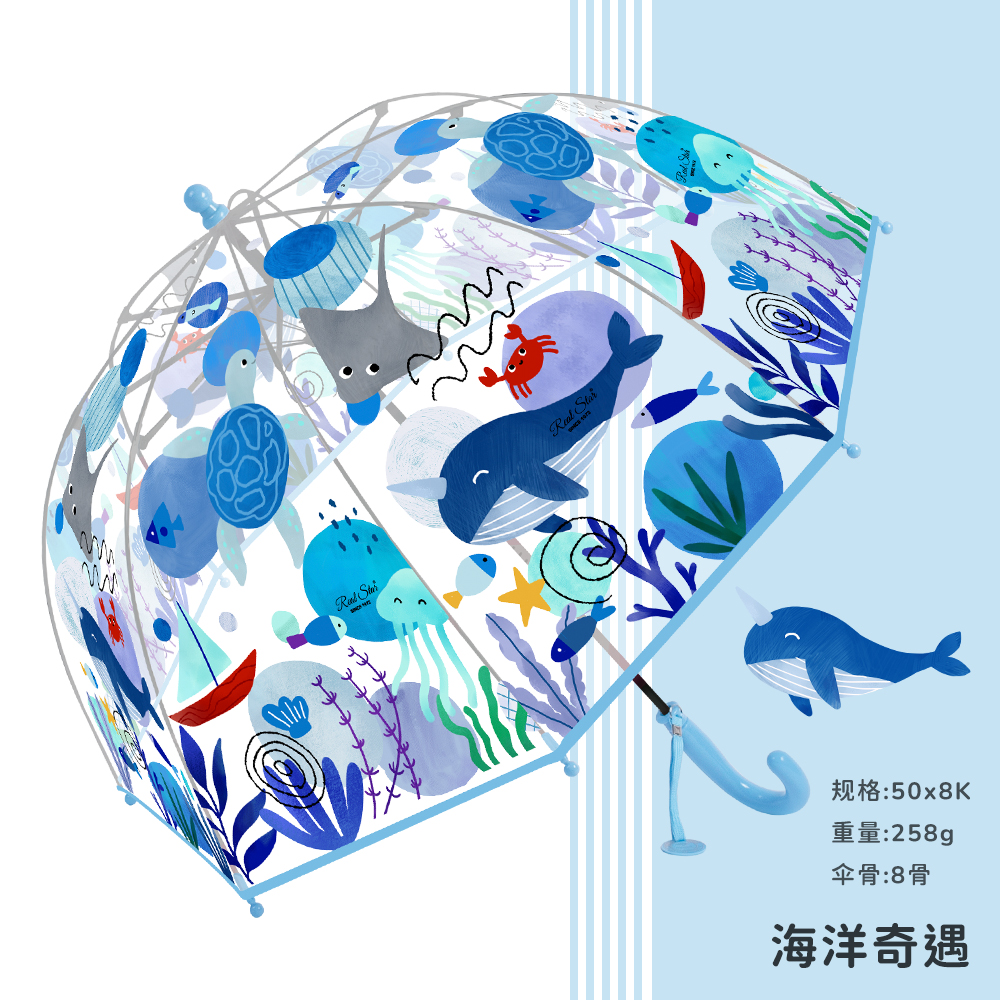 晴雨伞实物图