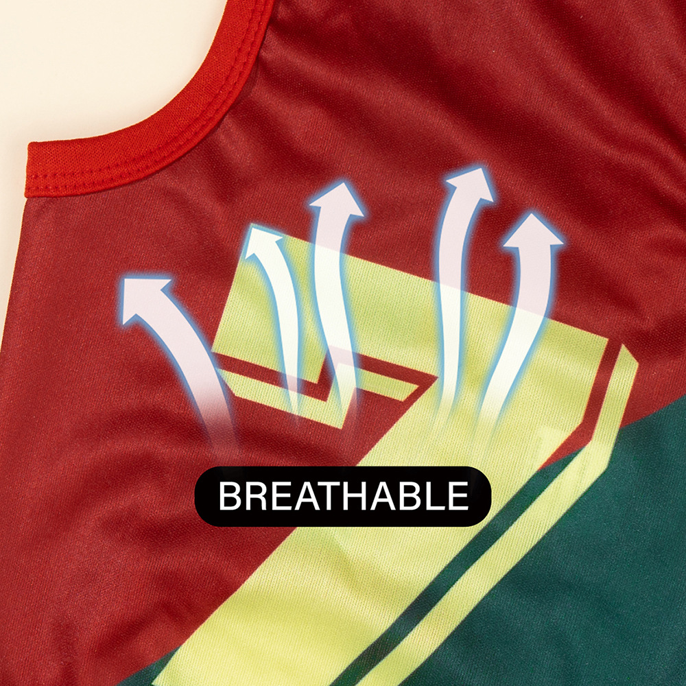 Cross-border World Cup pet jerseys with red and green stripes for cats and dogs, summer thin mesh pet clothing Specification image