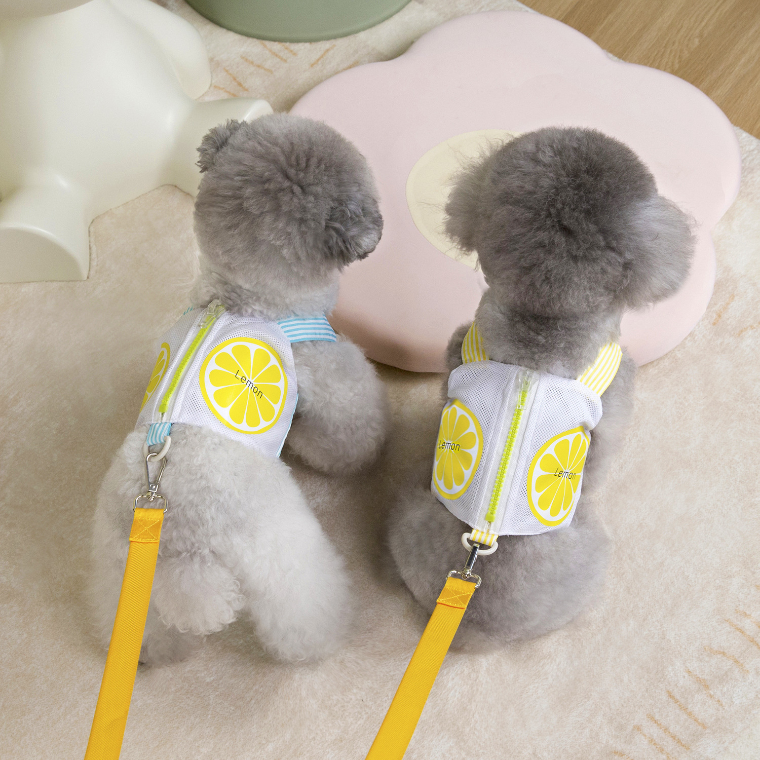 Wholesale of zipper pocket chest and back Teddy spring and Summer new fruit-printed dog outdoor leash pet supplies Specification image
